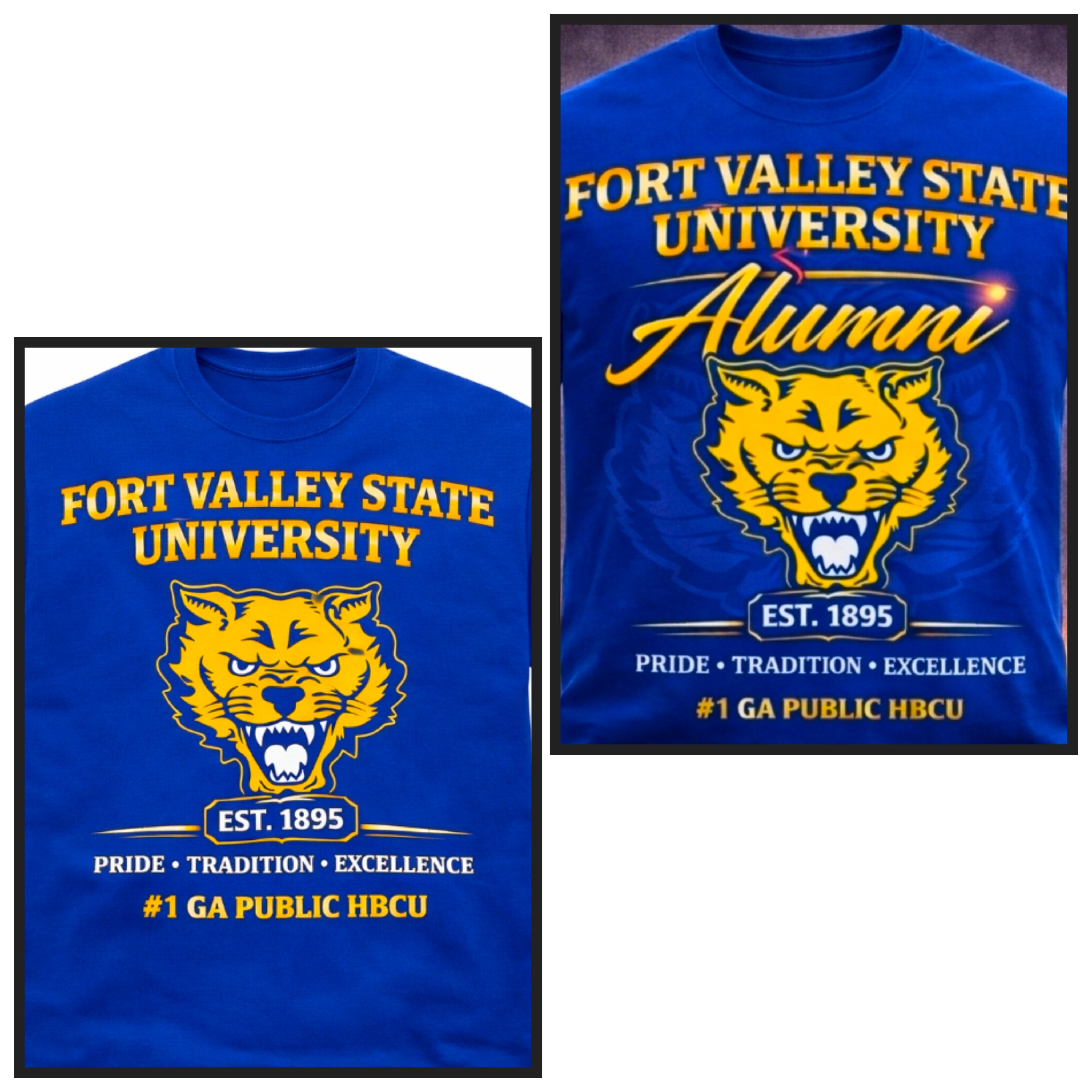 FVSU Alumni and Fan Tee